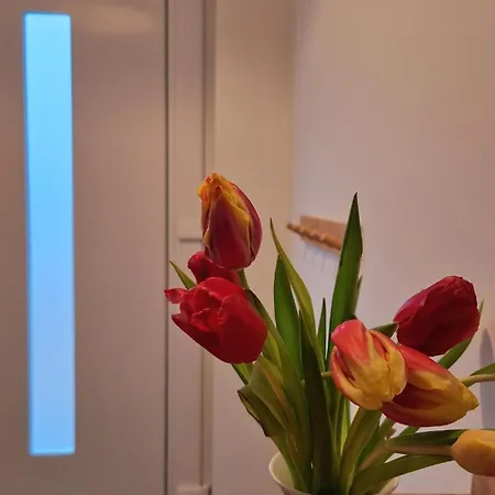 Διαμέρισμα In Buchholz Idn *